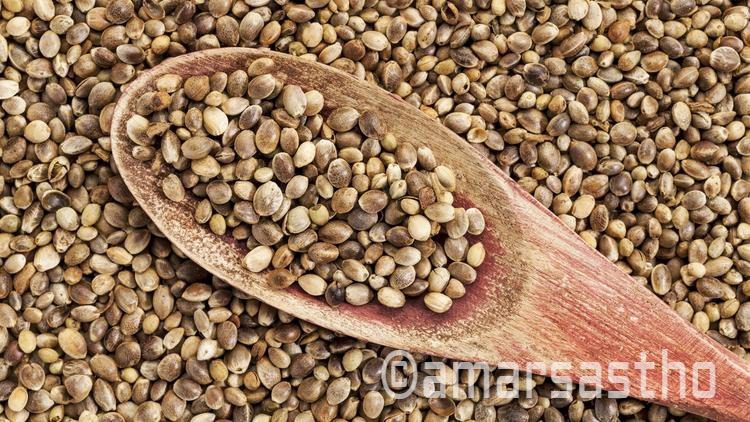 hemp seed