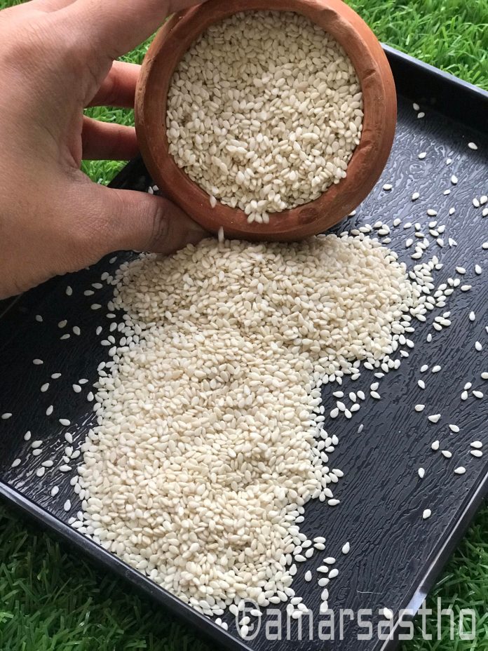 Sesame Seeds(তিল বীজ)
