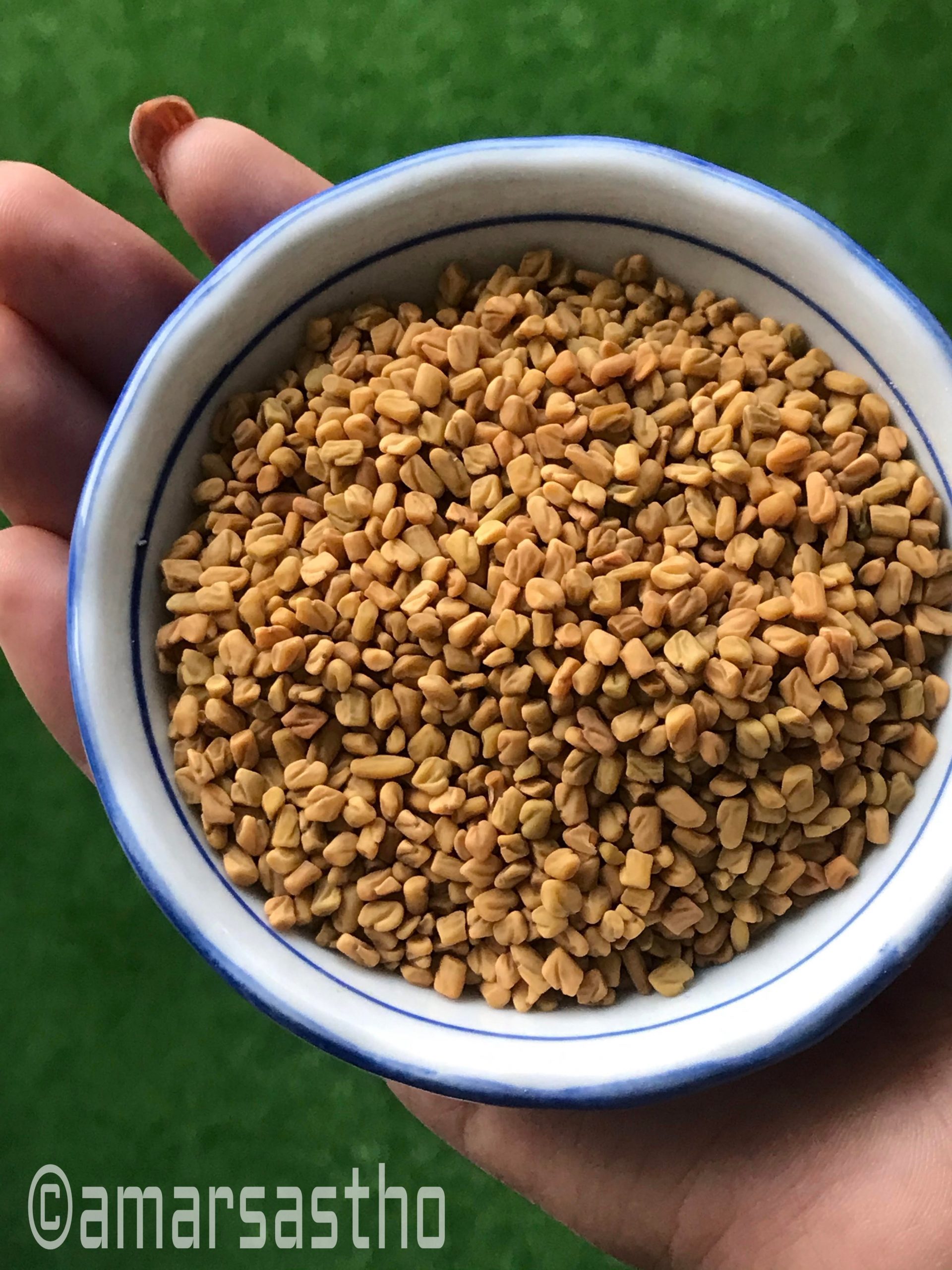 Fenugreek seeds