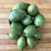Olive(জলপাই) - Image 2