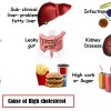 High cholesterol
