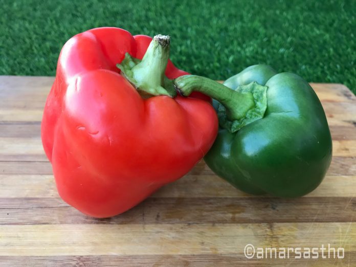 Capsicum/Bell pepper