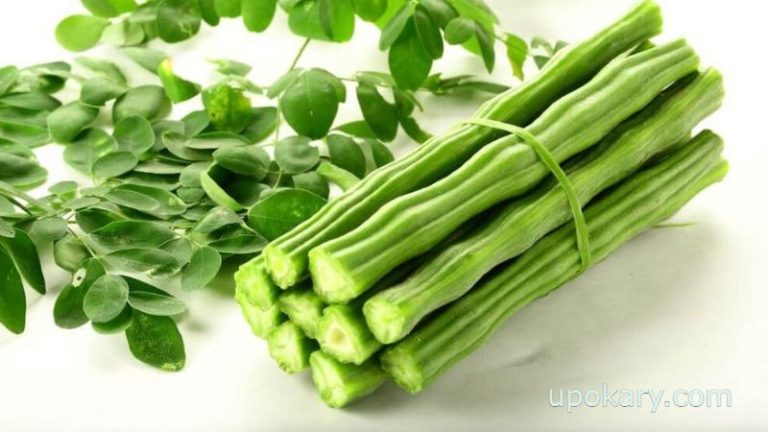 Pusty’s Dynamite Sajina Tree and Nutrition Super Food Sajina Leaf